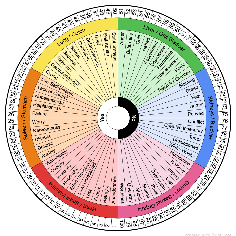 9 Emotion Code Subconscious Email Sessions