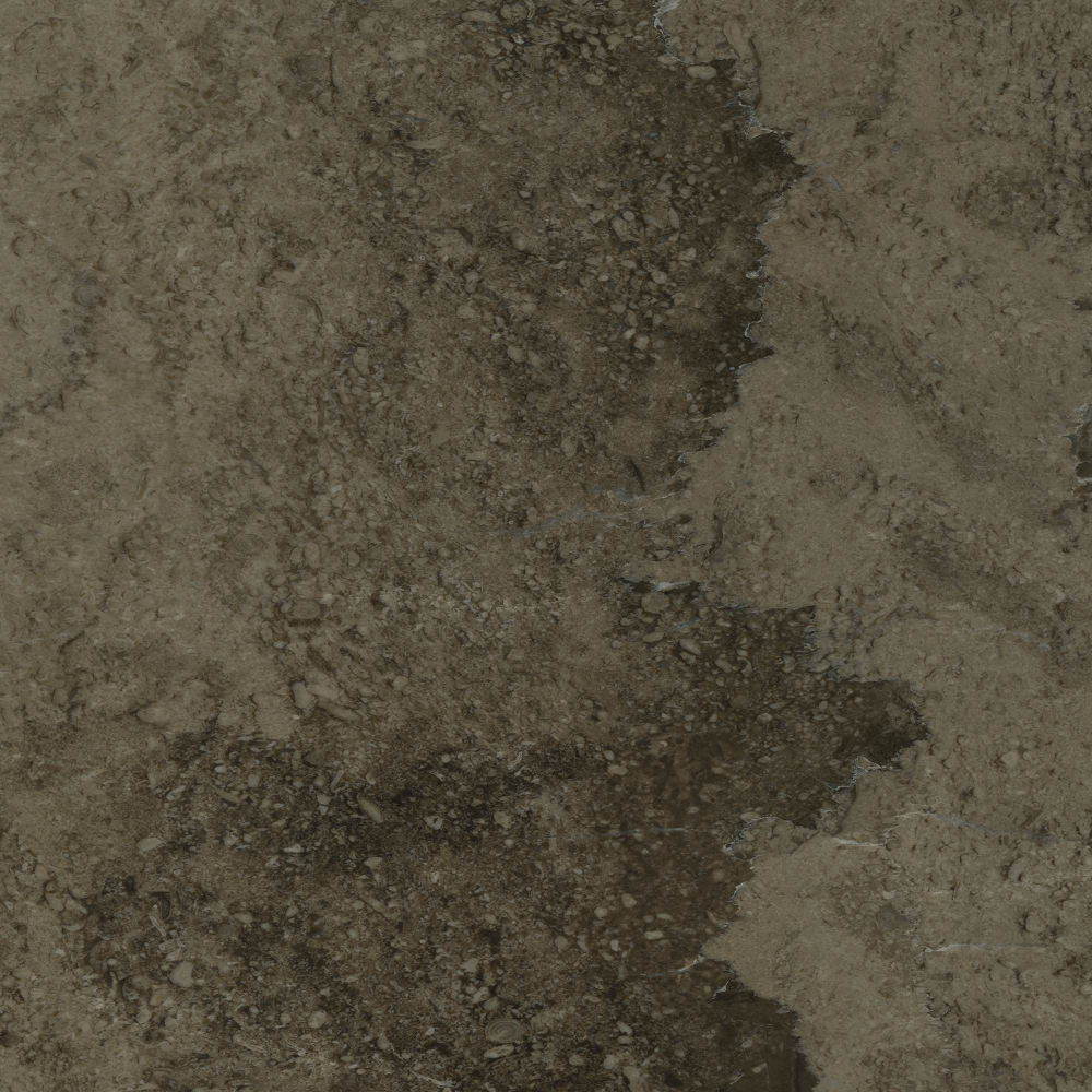 Shell Stone - SM