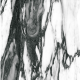 Hierarchy Black - SM