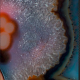 Aurora Geode - SM