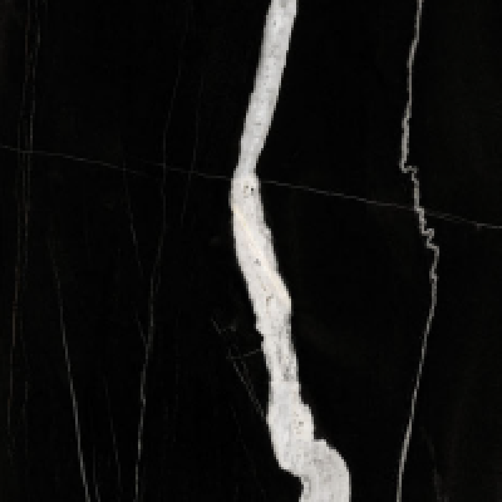 Palazzo - XLR