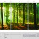 Array Of Green