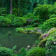 The Strolling Pond