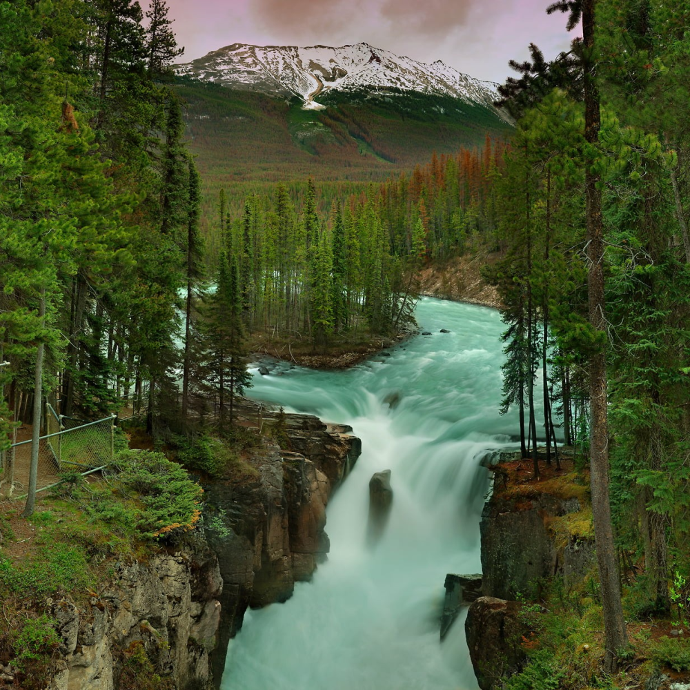 Sunwapta Falls