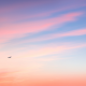 Aloft 1