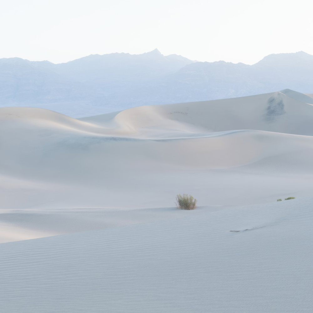 Mesquite Flat Sand Dunes