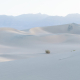 Mesquite Flat Sand Dunes