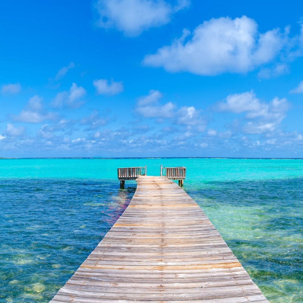 Pier to Paradise