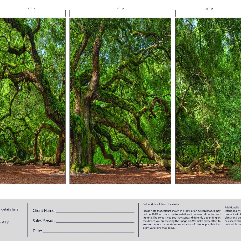 Angel Oak - SM