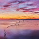 Twilight on the Thau Lagoon IV