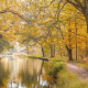 Peaceful Forest Canal
