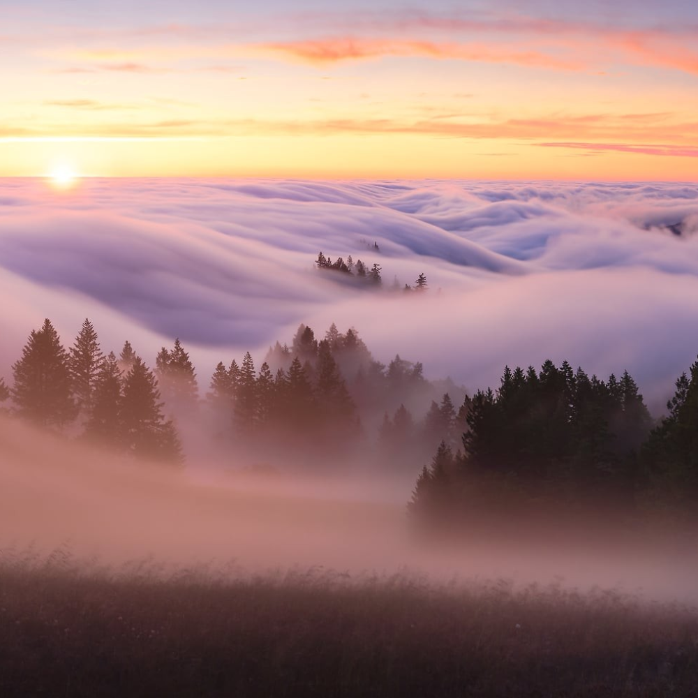Islands in the Sky