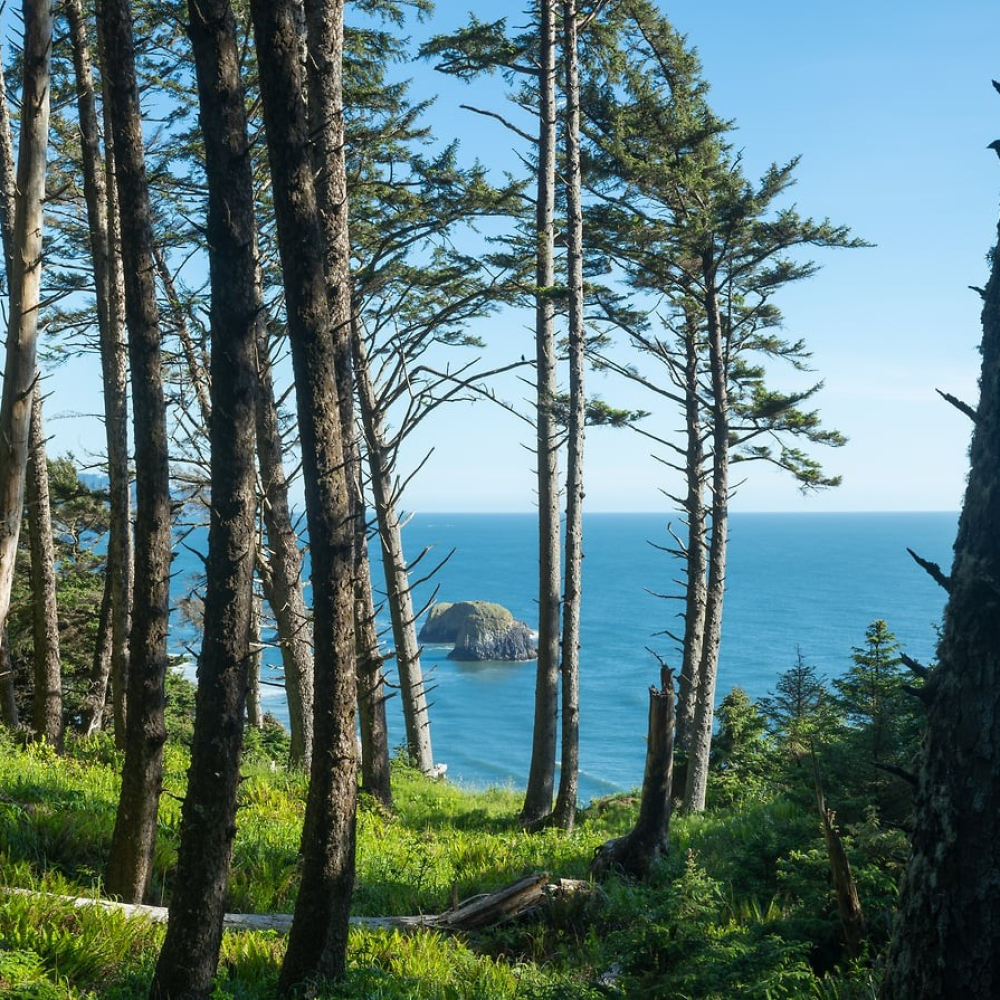 Ecola State Park II