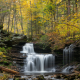Ricketts Falls