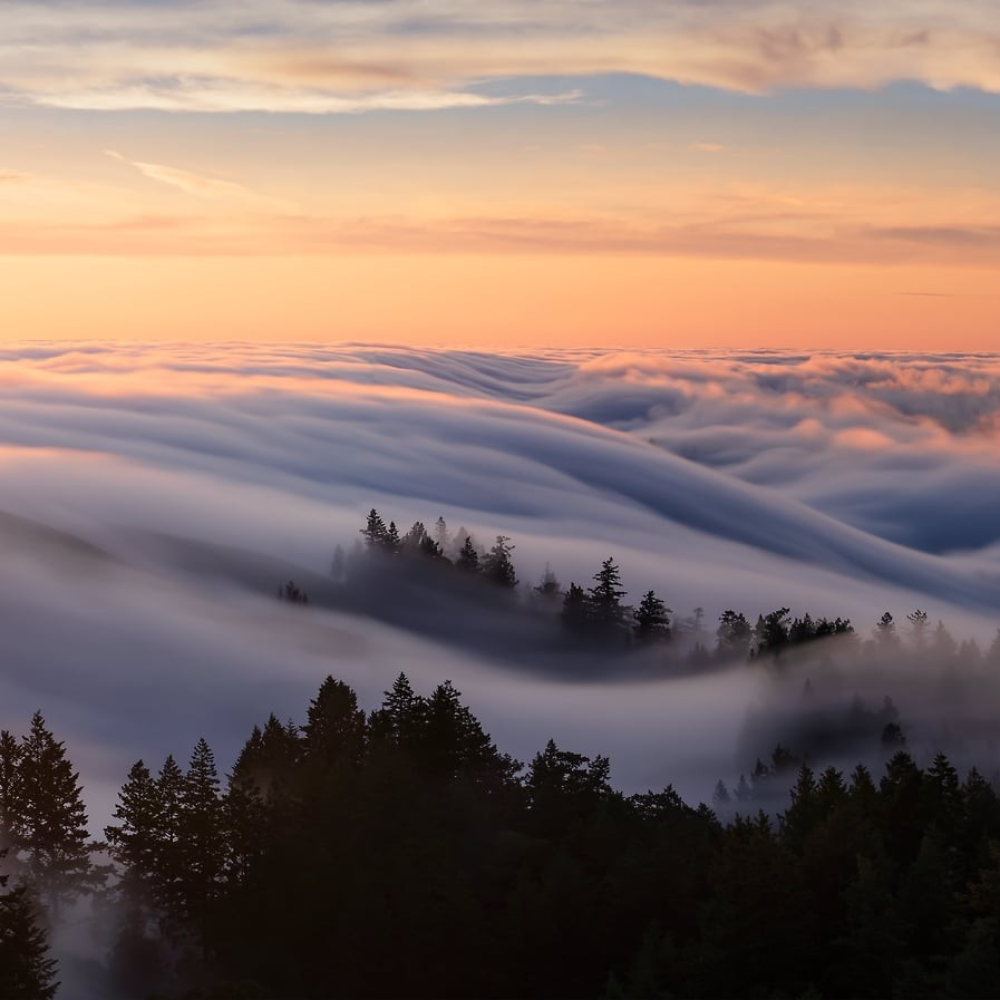 Fog Ocean
