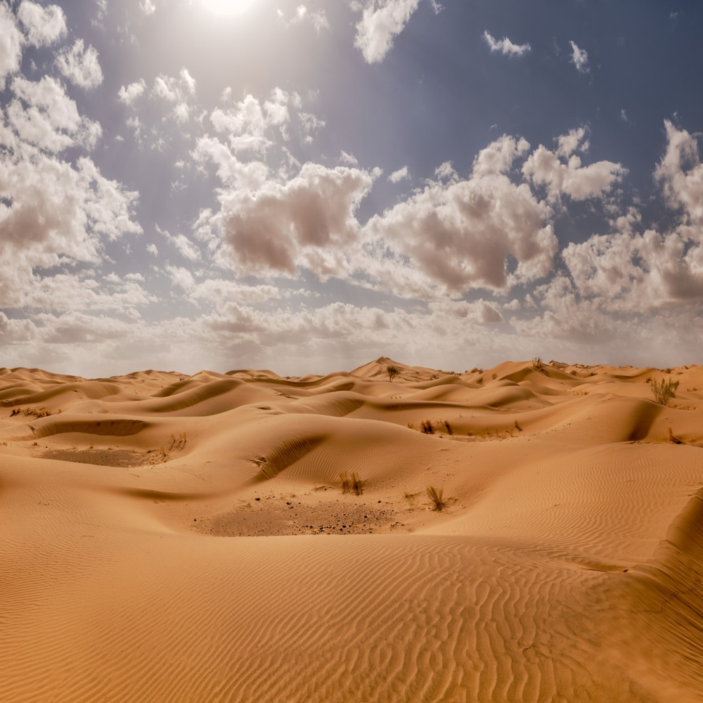 Desert 025, Arabian Desert, Tabuk, Kingdom of Saudi Arabia