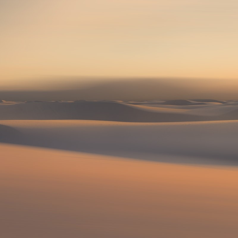 Timeless Impressions