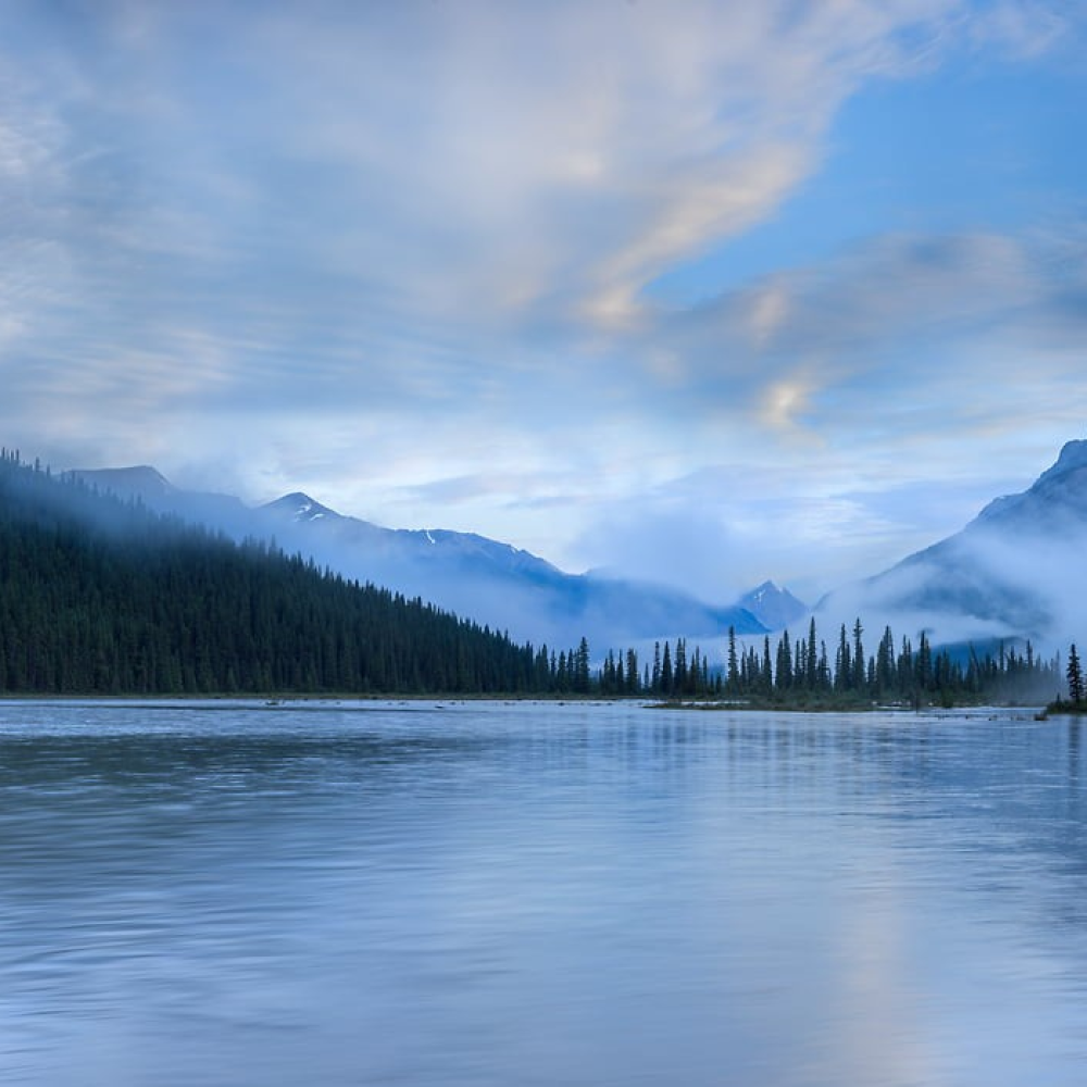 Foggy Morning