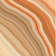 Acanthus Orange - SM
