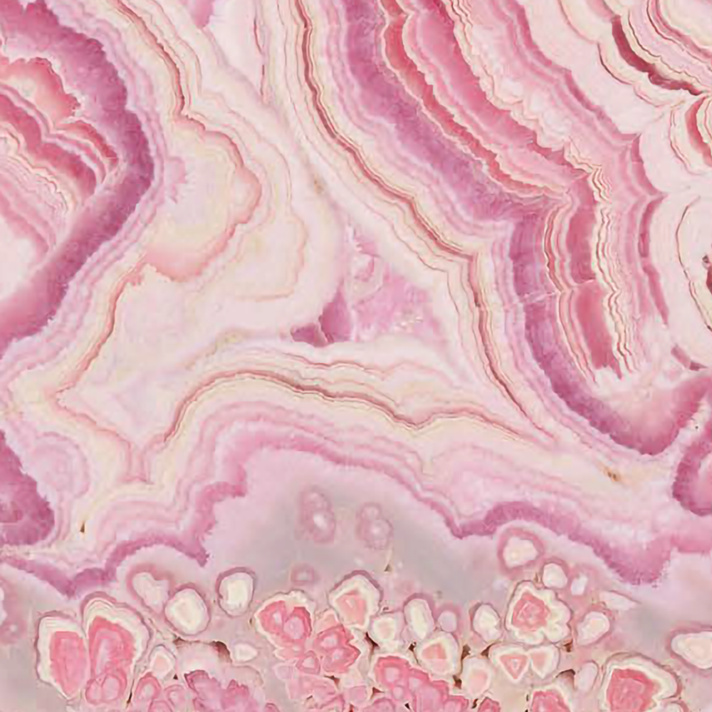 Blush Oasis - SM
