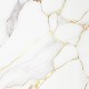 Golden Feather - SM