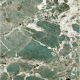 Amazonite 