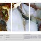 Amber Fracture - SM