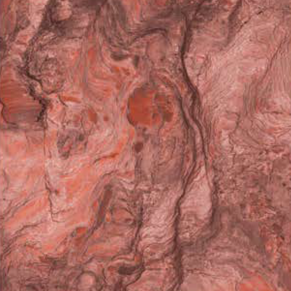 Cabalo Pink - SM