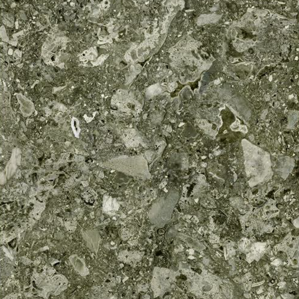 Forest Breccia - SM