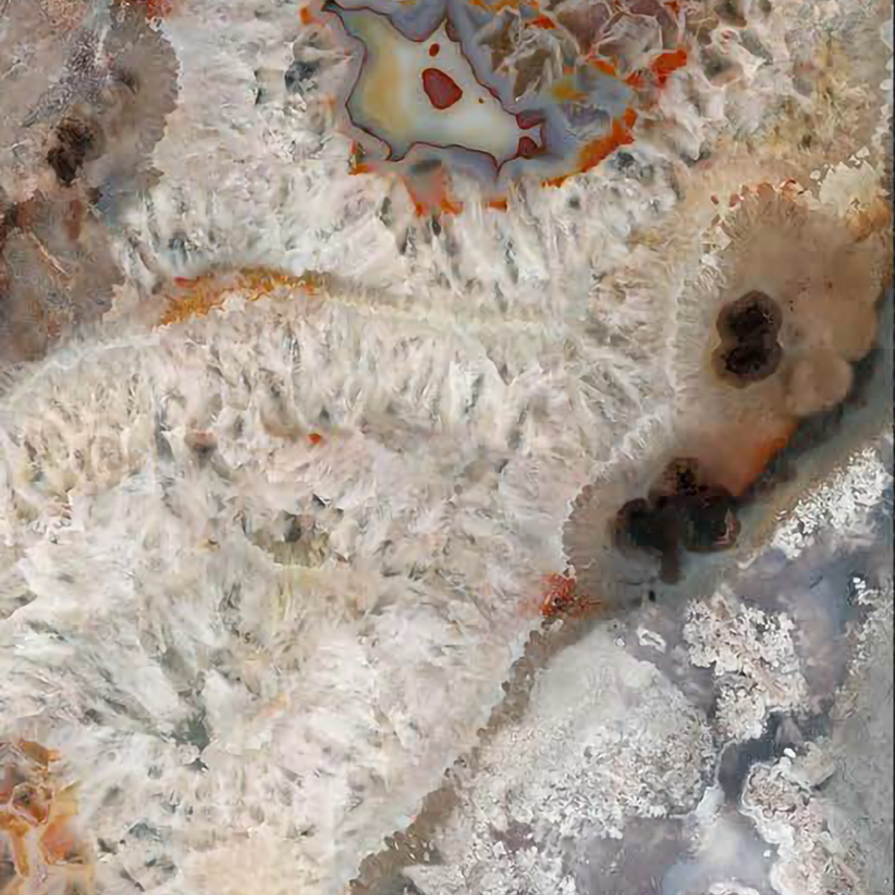 Fossil Mosaic - SM