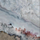 Frosty Coral - SM